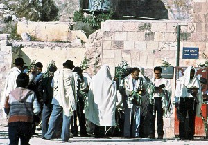 Men praying near the Kotel in Jerusalem on Hoshana Rabbah These men are holding aravot (bundles of willow twigs) 