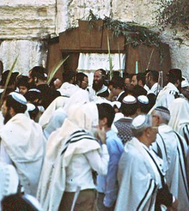Jewish men at the Western Wall (Kotel) during the festival of Sukkot.