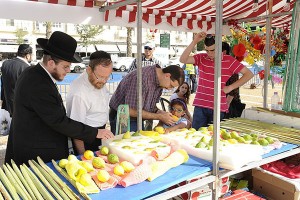 The 4 Species 2 Customers peruse etrogim and lulavim at an Israeli street stall prior to purchasing