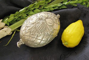 An etrog with a protective case in which to transport and store it. Protective cases for etrogs are available in a variety of designs and materials.