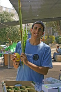 A man at an Israeli street stall deciding which lulav set to buy. (Photo reproduced here with the kind permission of Alex Ringer, Israel.)