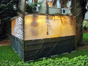 A typical modern-day sukkah in the back yard of a home.