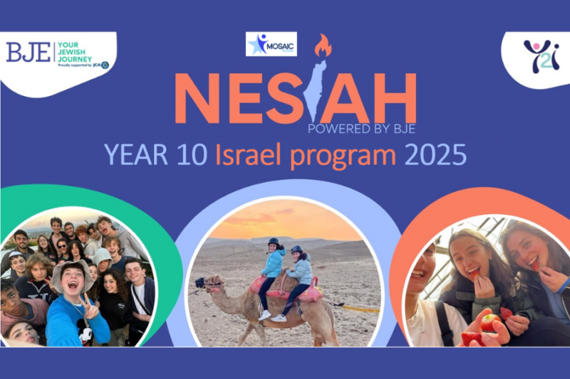 NESIAH Y10 EVERYONE PORTAL 4